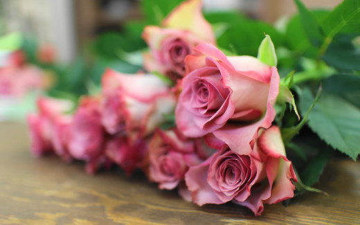 816794 (a): :2560x1600